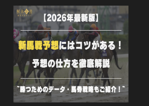 新馬戦予想画像