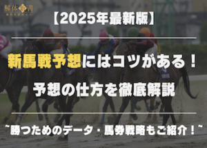 新馬戦予想画像