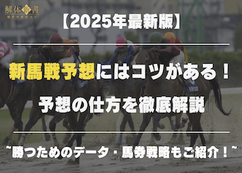 新馬戦予想は3つのコツを押さえるだけ！勝つために必要なデータや馬券の買い方を徹底解説！画像