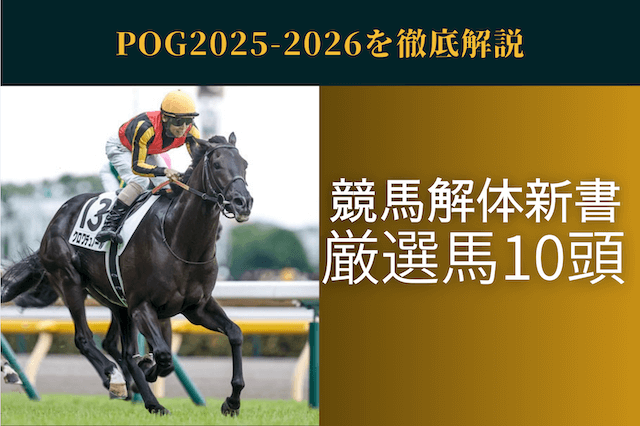 pog2025-2026top