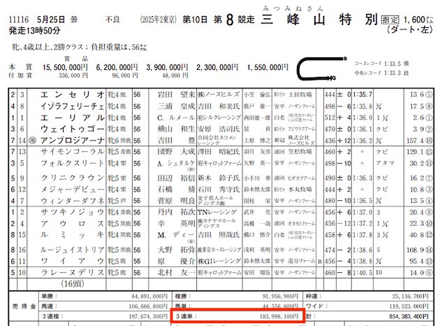 穴馬ch25_レース成績画像