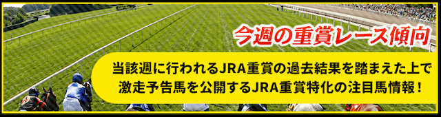 検証画像