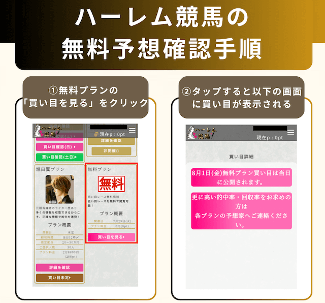 ハーレム競馬の無料予想の受取方法