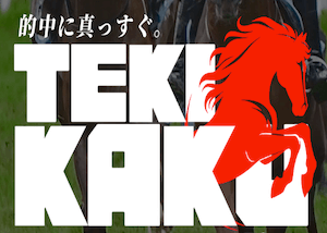 tekikaku_300×214