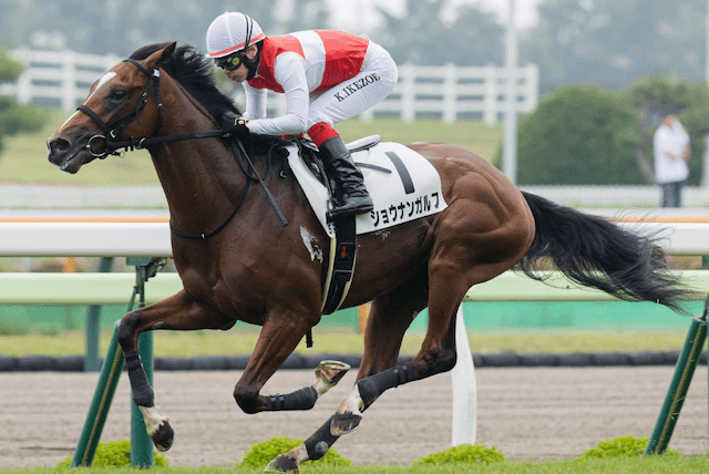 【期限切れ単勝馬券】　サラ系2歳新馬　デュランダル　ウマ娘 期限切れ単勝馬券】 安田記念 '98 シーキングザパール ウマ娘
