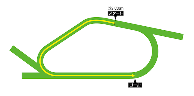 ヨーク競馬場の芝2,050m