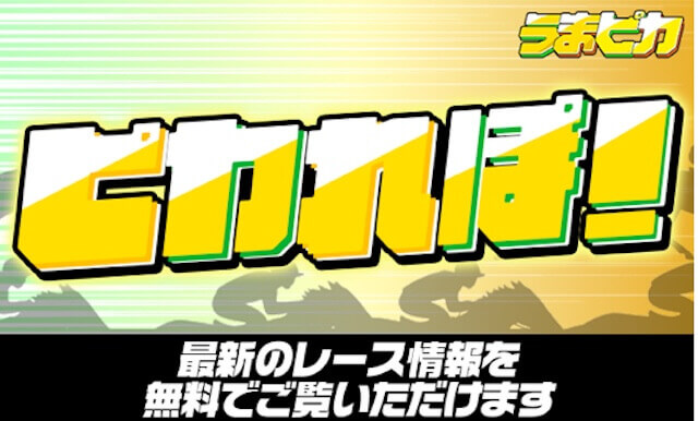 検証画像