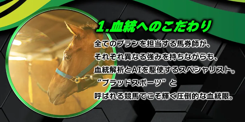 検証画像