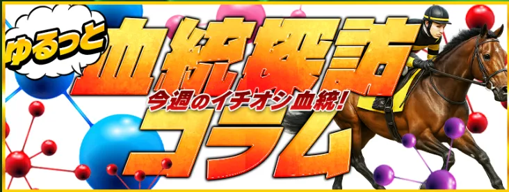 サラコレ_特徴画像5