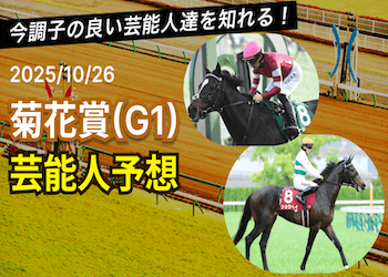 【菊花賞2025】芸能人・有名人の競馬予想を無料公開!画像