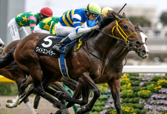 ワイドエンペラー