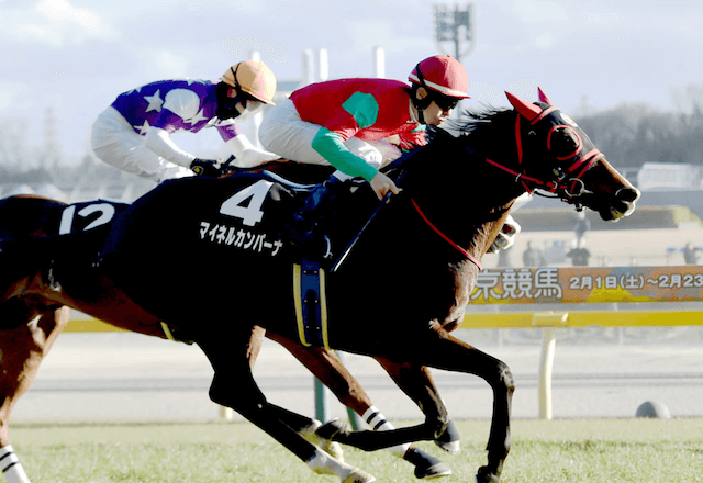 マイネルカンパーナ