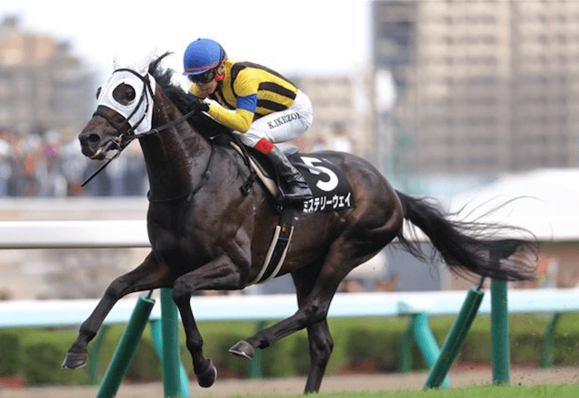 ミステリーウェイ