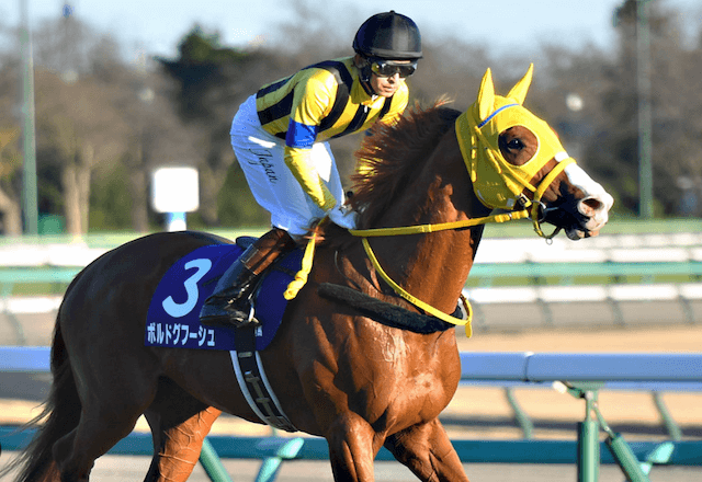 ボルドグフーシュ