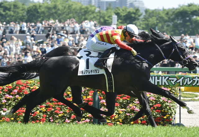 ハギノアルデバラン