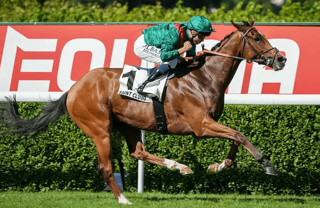 ジャパンカップ2025_サイン画像1