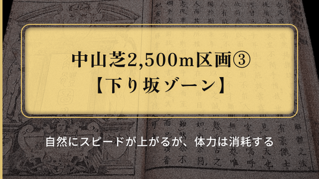 有馬記念重馬場展開_下り坂