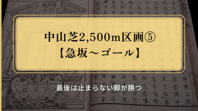 有馬記念重馬場展開_急坂