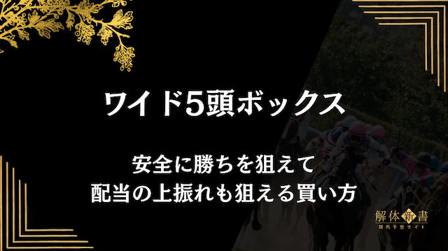 有馬記念のワイド5頭ボックスの買い方