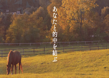 縁のランキング用画像