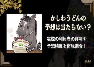 かしわうどん画像