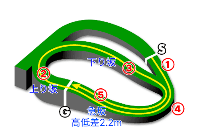 有馬展開予想レース図