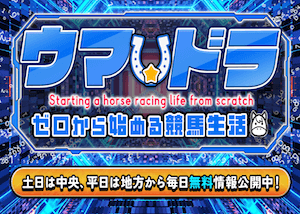 ウマドラの的中用画像