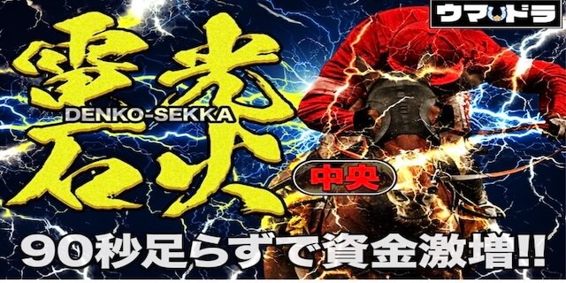 電光石火プラン画像