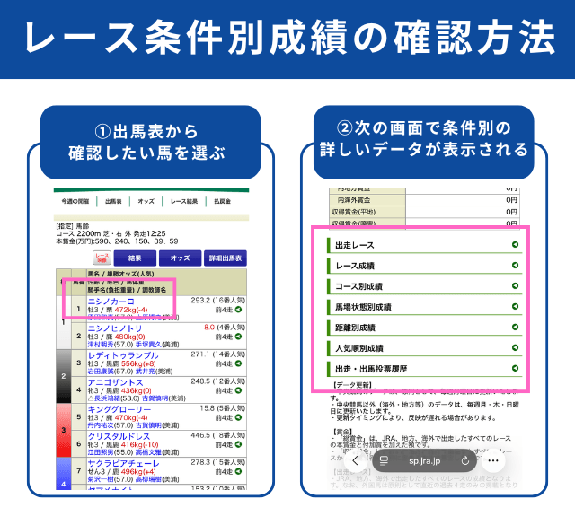 レース条件別確認方法