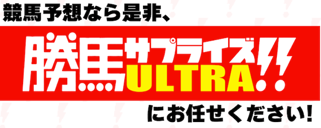 勝馬サプライズの特徴