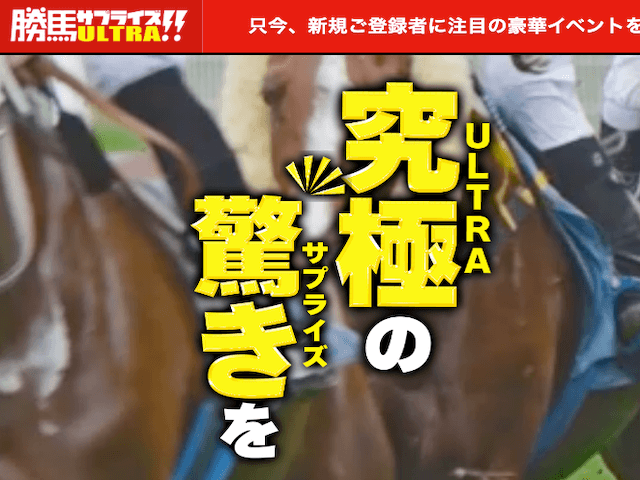 勝馬サプライズのトップ画像