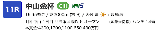 3連複フォーメーション247レース名画像