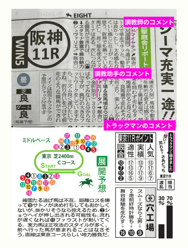 競馬新聞_トラックマン