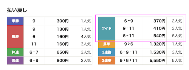 スター競馬の無料予想2023年2月19日結果画像1