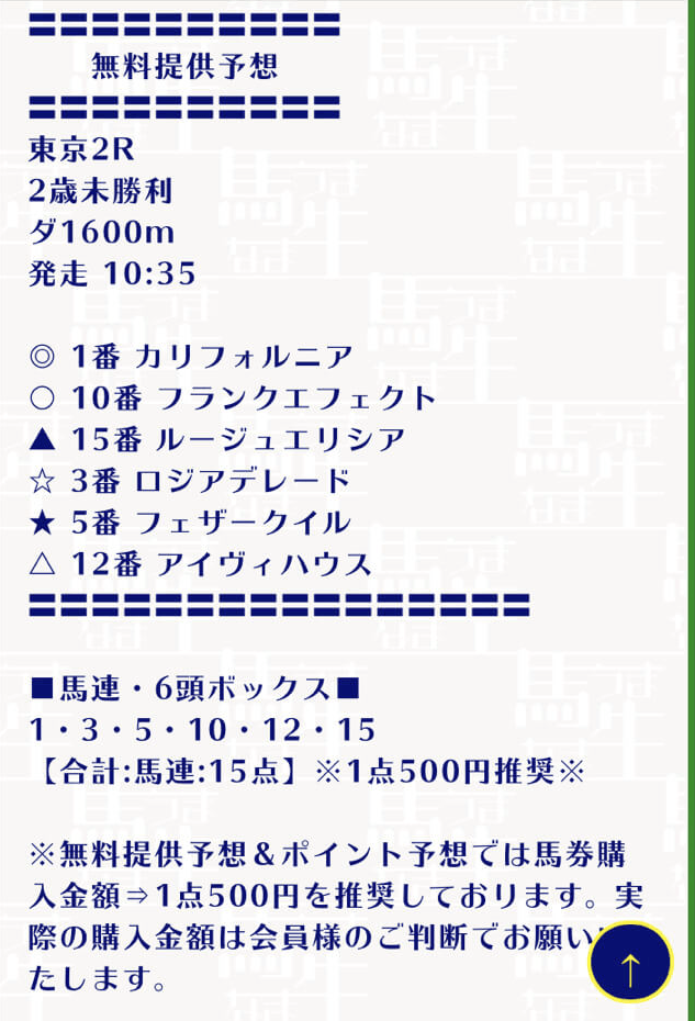 231007東京2R_馬生
