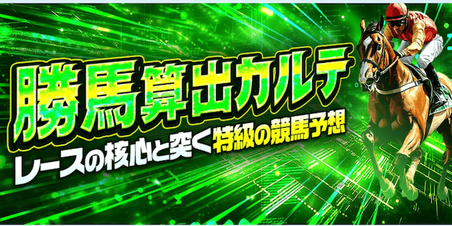 勝馬算出カルテプラン画像