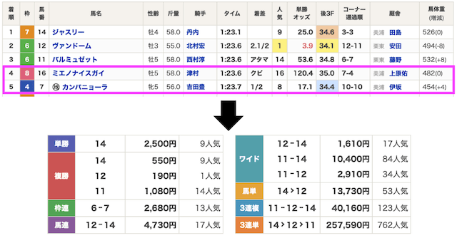 ちゃあ様 ご確認下さい。 シンケイバの無料予想は当たる？安全性・口コミ評判・実践検証から実態