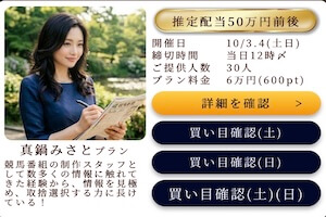 真鍋みさとプラン