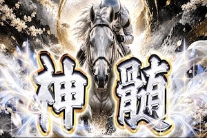 神髄プラン画像