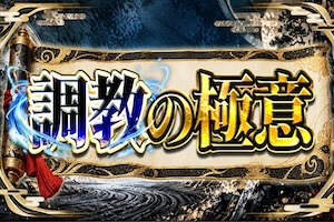 調教の極意プラン画像