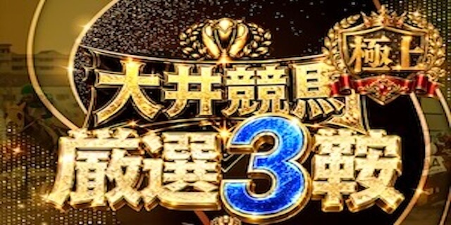 大井競馬 厳選3鞍【極上】プラン画像