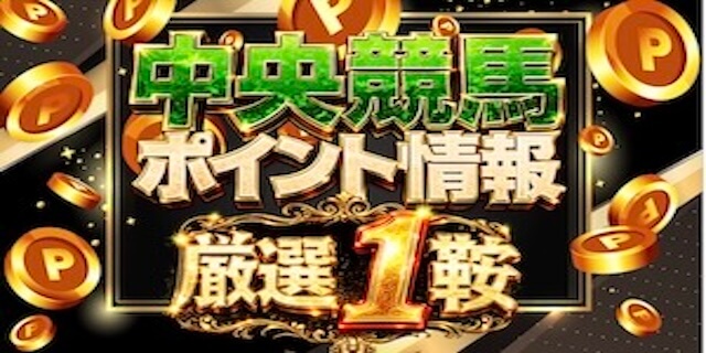 ポイント情報プラン画像