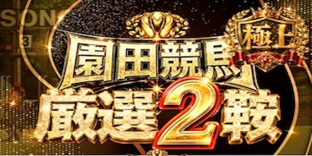 園田競馬 厳選2鞍【極上】プラン画像