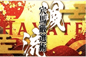 穴馬厳選術プラン画像