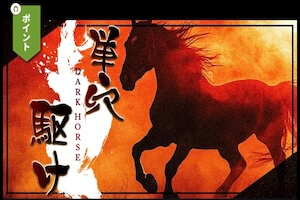 単穴駆けプラン画像